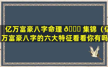 亿万富豪八字命理 🐛 集锦（亿万富豪八字的六大特征看看你有吗）